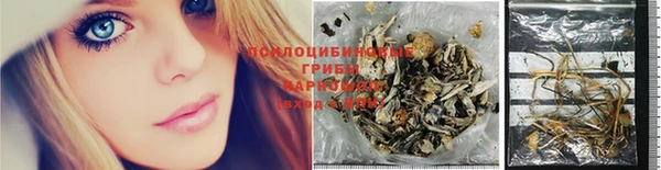 apvp Снежинск