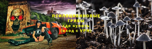 apvp Снежинск