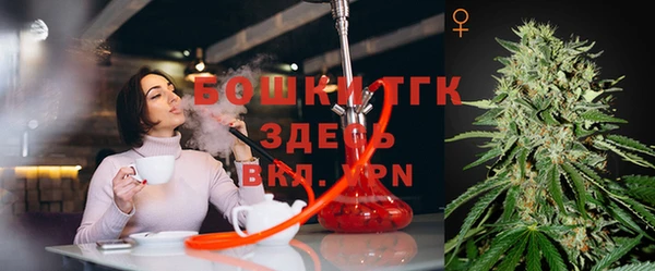 ПСИЛОЦИБИНОВЫЕ ГРИБЫ Снежногорск